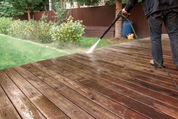 Best Roof Cleaning and Mildew Removal in Jackson, WI